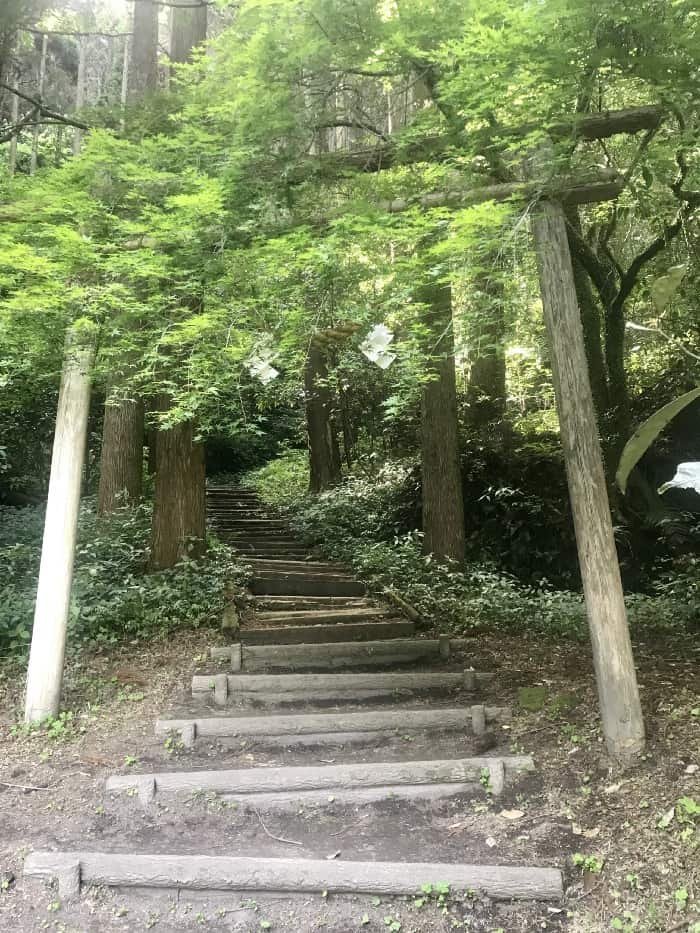 🏞️ 구마소 동굴 (구마소아나) 이미지 7